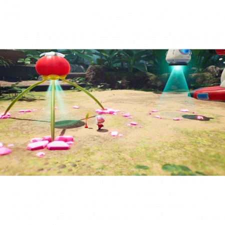 Image00008