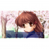 image 00001