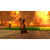 image 00002