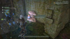 Images00005