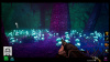 Image00009