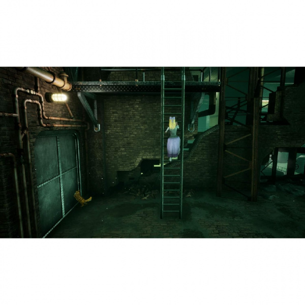 image 00002