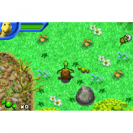 Image00006