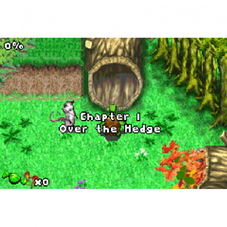 Image00005