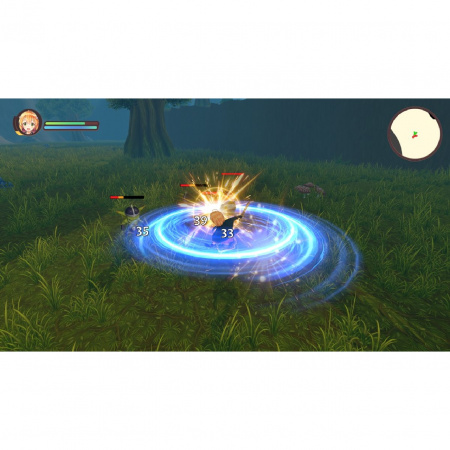 image 00010