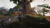 Image00012
