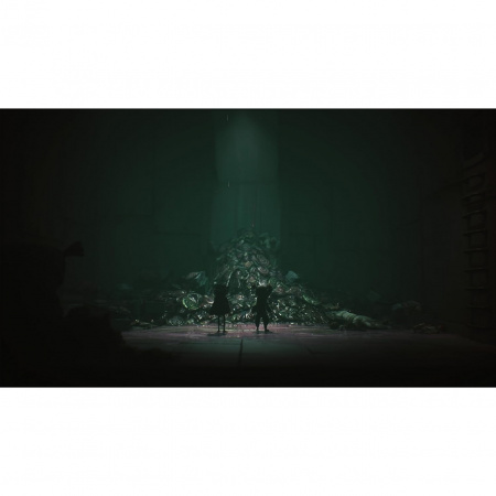 image 00006