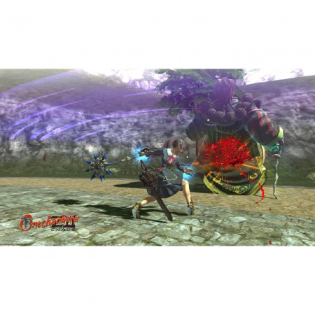 Image00008