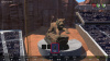 Image00001