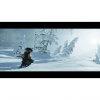 image 00010