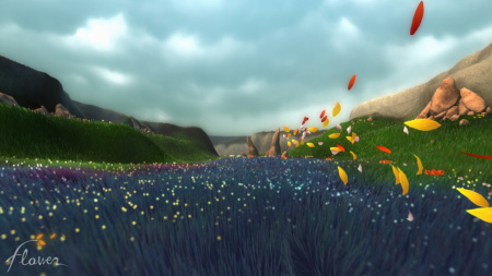 Images00010