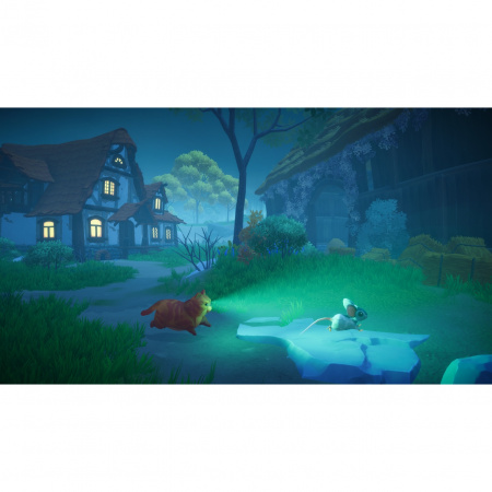 images 00010