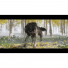 image 00012