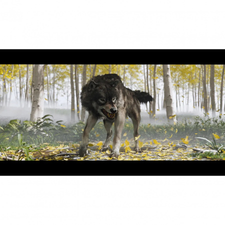 image 00012