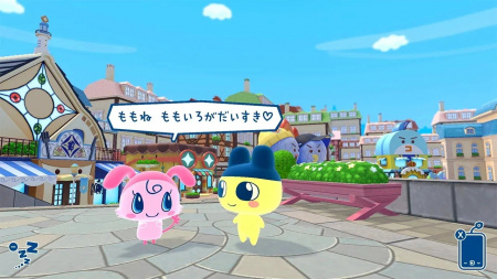 image 00006