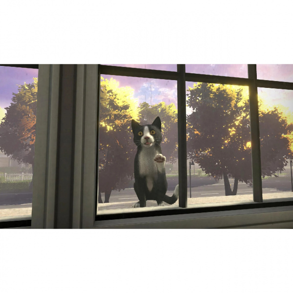 image 00004