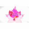 image 00005