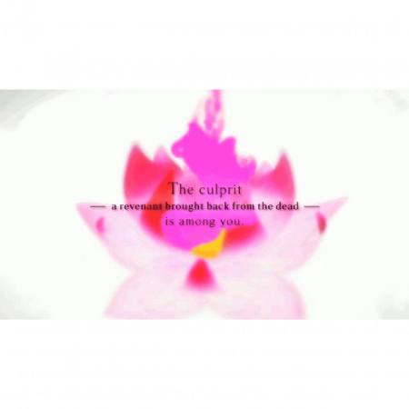 image 00005