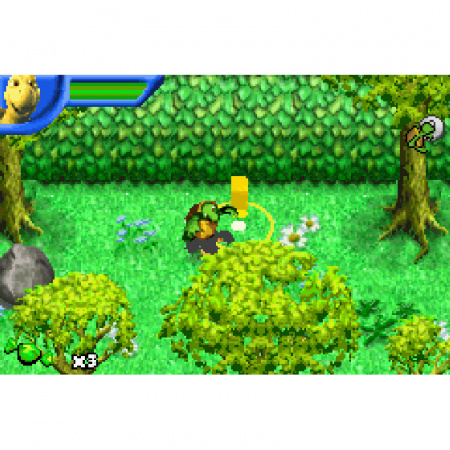 Image00009
