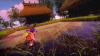 Image00002