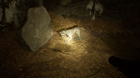 Image00007