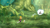 Images00005