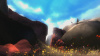 Images00009