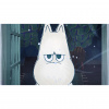 image 00006