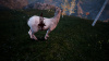 Image00004