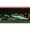 Dawn of the Monsters 00005