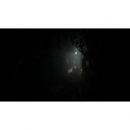 image 00011