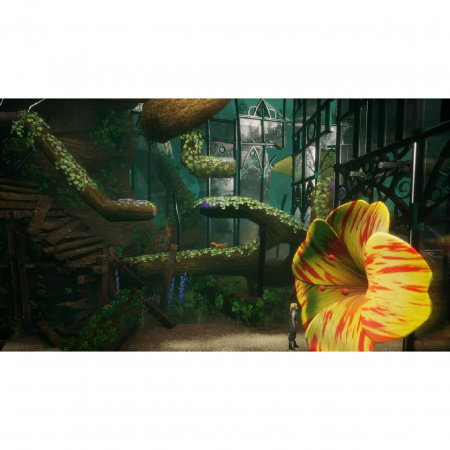 image 00010