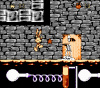 rabbit_6