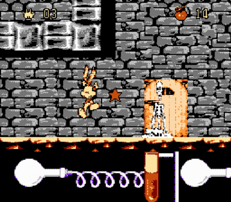 rabbit_6