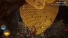 Image00010