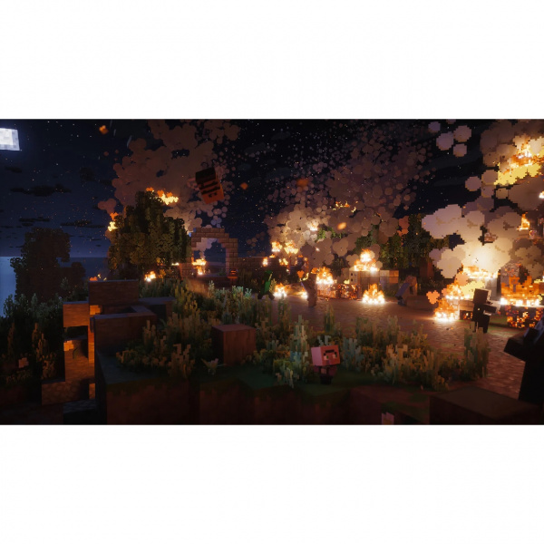 image 00002