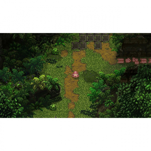 image 00003
