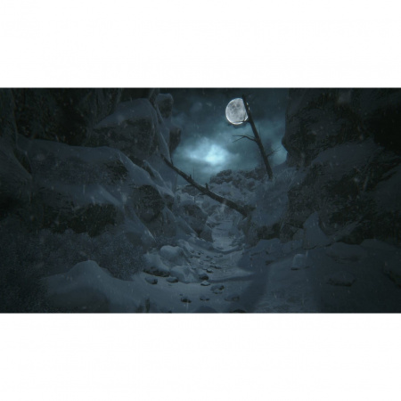 Image00014