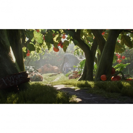 Image00005