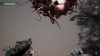 Image00014