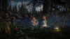 Image00009