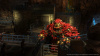 Image00008