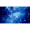 image 00009