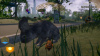 Image00012
