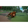 images 00011