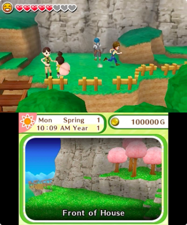 3DS_HarvestMoonSkytreeVillage_enGB_06+