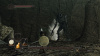 Image00009