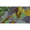 Image00007