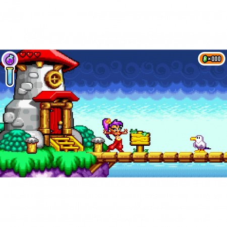 image 00006