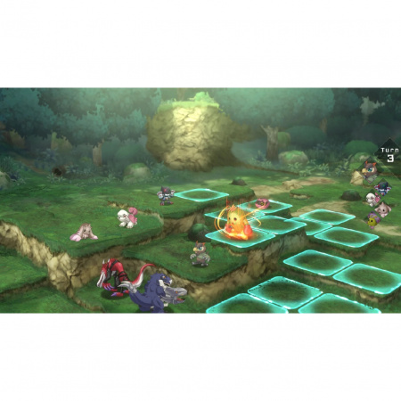 Image00013
